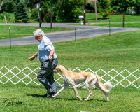 20250629-DSC09427