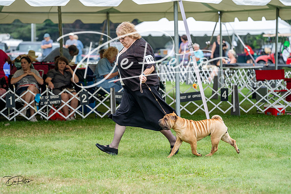 20230701-DSC09837