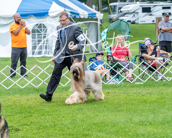 20230702-DSC04185