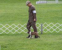 20230702-DSC04709