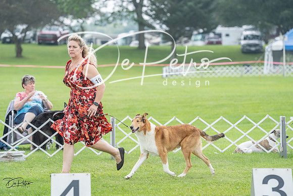 20230701-DSC09395
