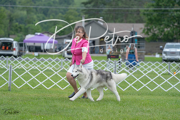20230702-DSC01447