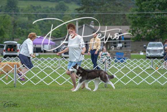 20230702-DSC01763