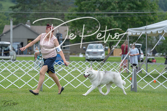20230702-DSC01476