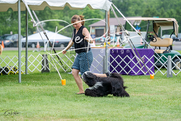 20230701-DSC09900