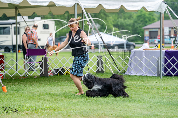 20230701-DSC09904