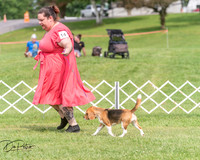 20250628-DSC08315
