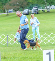 20230702-DSC04324
