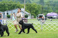 20230702-DSC01239