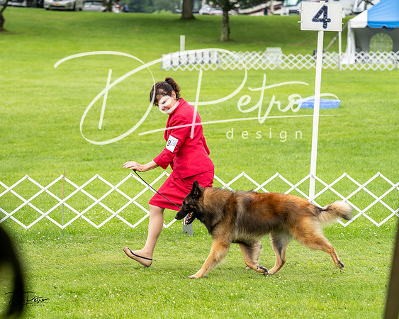 20230702-DSC03892