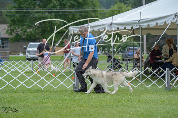 20230702-DSC01599