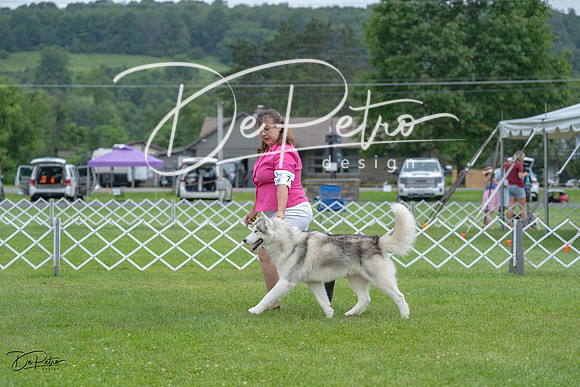 20230702-DSC01560
