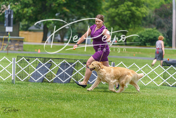 20230701-DSC01211