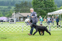 20230702-DSC01180