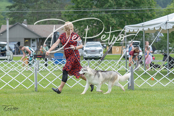 20230702-DSC01358