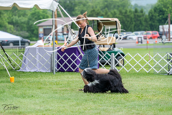 20230701-DSC09896