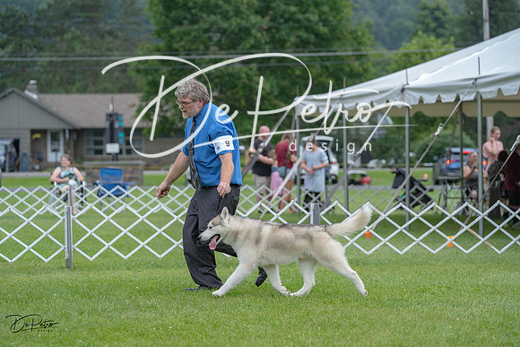20230702-DSC01587