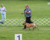 20230702-DSC04683