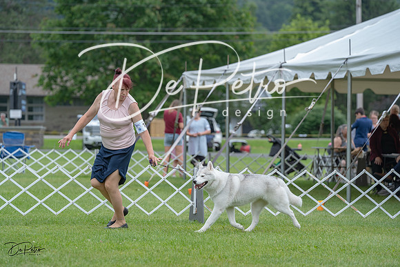 20230702-DSC01472