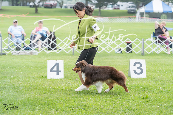 20230701-DSC09665