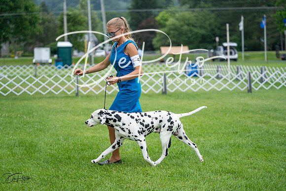 20230701-DSC08293