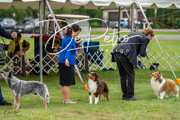 20230702-DSC04251