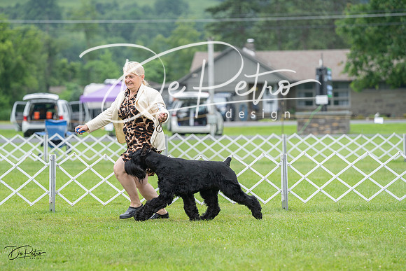 20230702-DSC01297