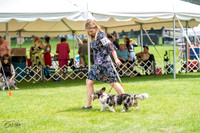 20230701-DSC01503