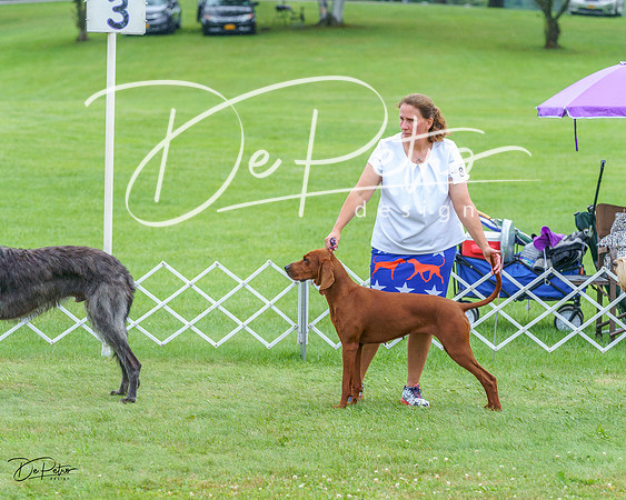 20230702-DSC04635
