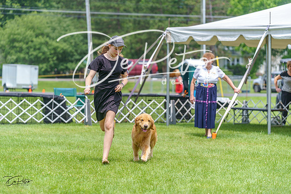 20230701-DSC01228