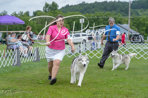 20230702-DSC01796
