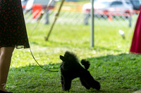 20240816-DSC00157
