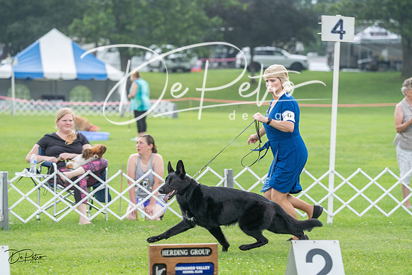 20230701-DSC09363