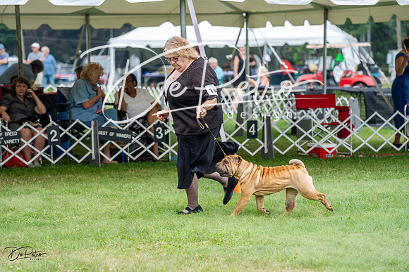 20230701-DSC09835