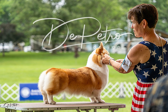 20230702-DSC04117