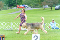 20230702-DSC04306