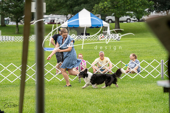 20230702-DSC04104