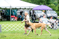 20230702-DSC01861