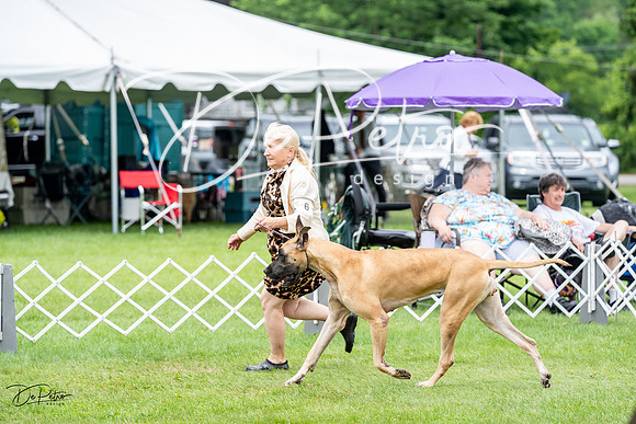 20230702-DSC01861