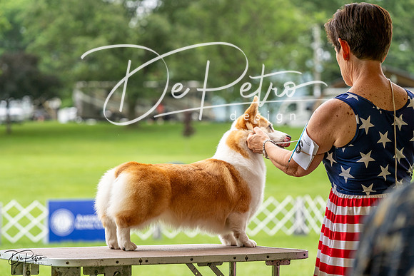 20230702-DSC04119