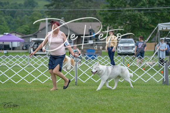 20230702-DSC01693