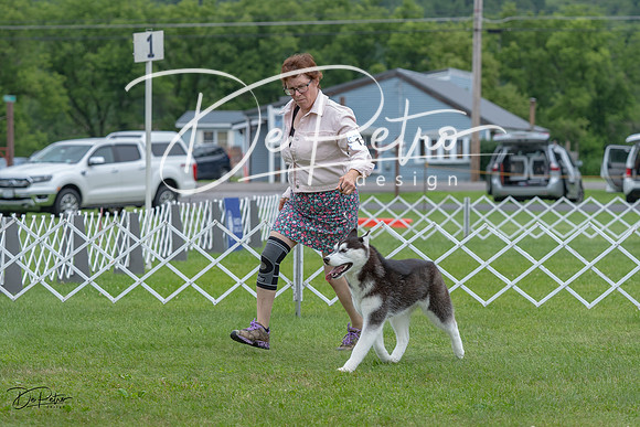 20230702-DSC01420