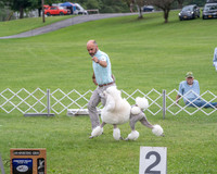 20230702-DSC04671