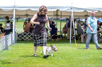 20230701-DSC01464