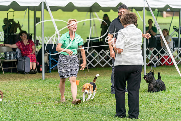 20240630-DSC05745