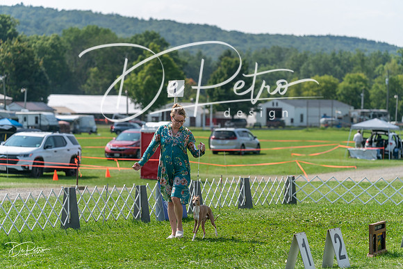 20240816-DSC00311