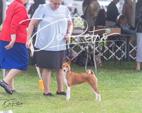 20250626-DSC04482