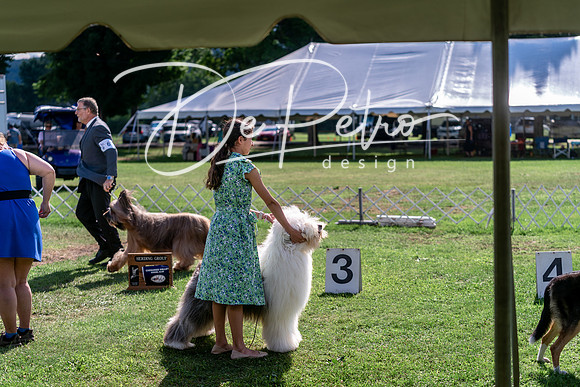 20240630-DSC05005