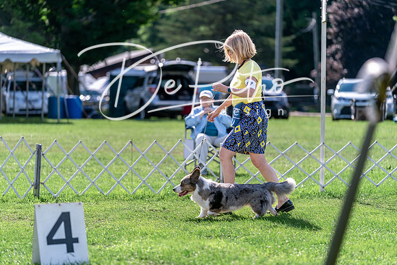 20240630-DSC04959