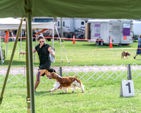 20240815-DSC07841
